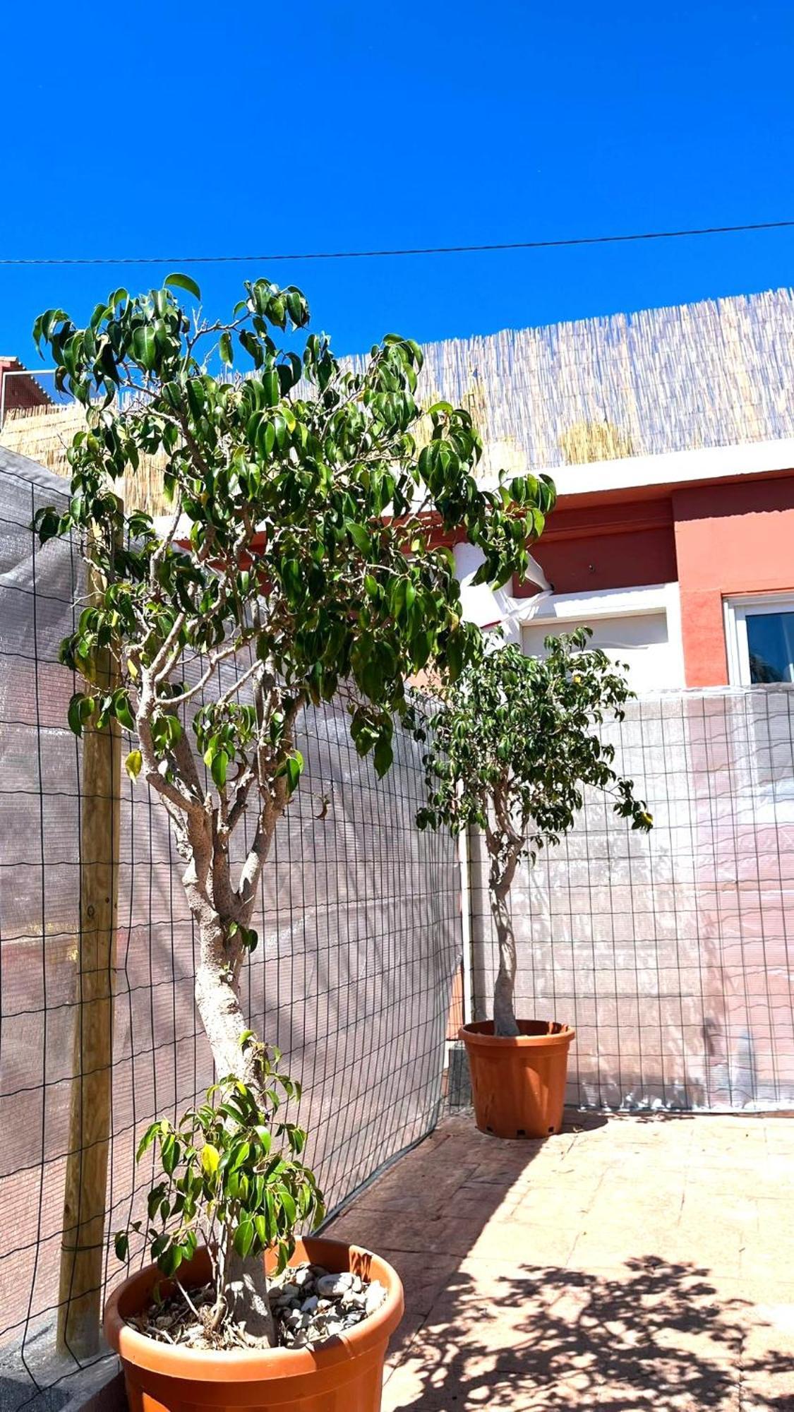 Apartamento Leyda En Marbella Buitenkant foto